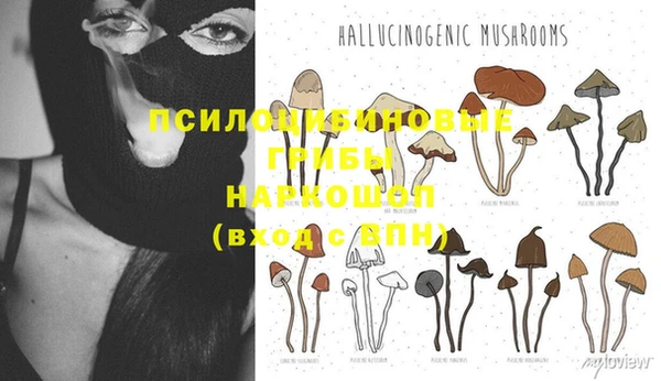 бутик Абаза
