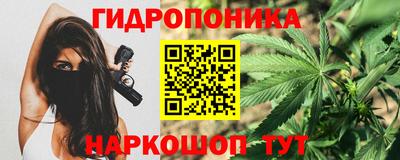стаф Обь