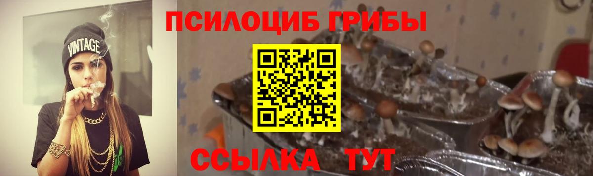 Псилоцибиновые грибы MAGIC MUSHROOMS  Вход с VPN  Псилоцибиновые грибы мицелий  Элиста 